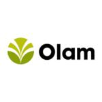 Olam
